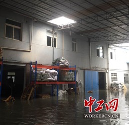 杜鹃 过境 宁波鄞州工会积极打响抗台排涝保卫战